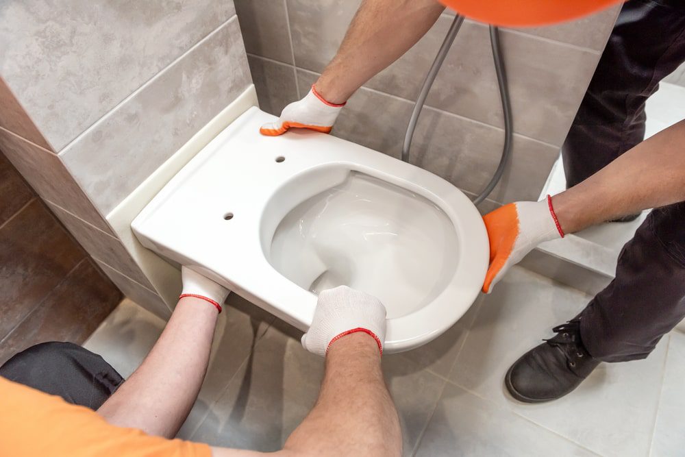 Is It Safe To Flush Cat Litter? What Melbourne Pet Owners Need To Know 1 Toilet Installation Replacement Services