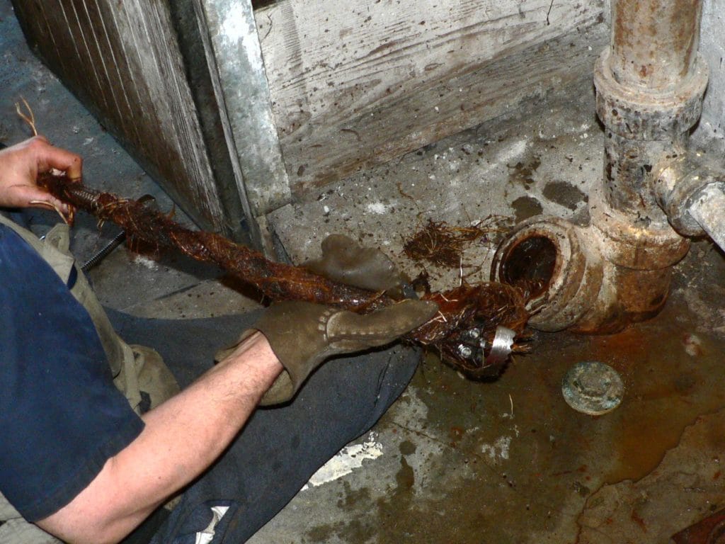 Clogged Sewer Line 1024X768 1